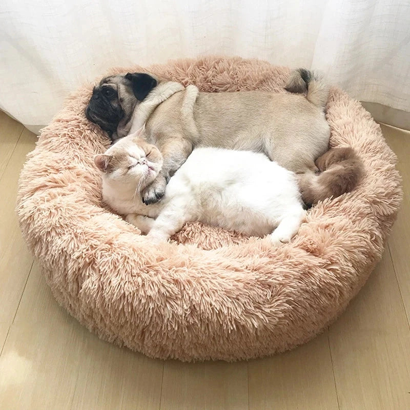 Pet Dog Bed for Dog Large Big Small for Cat House round Plush Mat Sofa Dropshipping Products Pet Calming Bed Dog Donut Bed